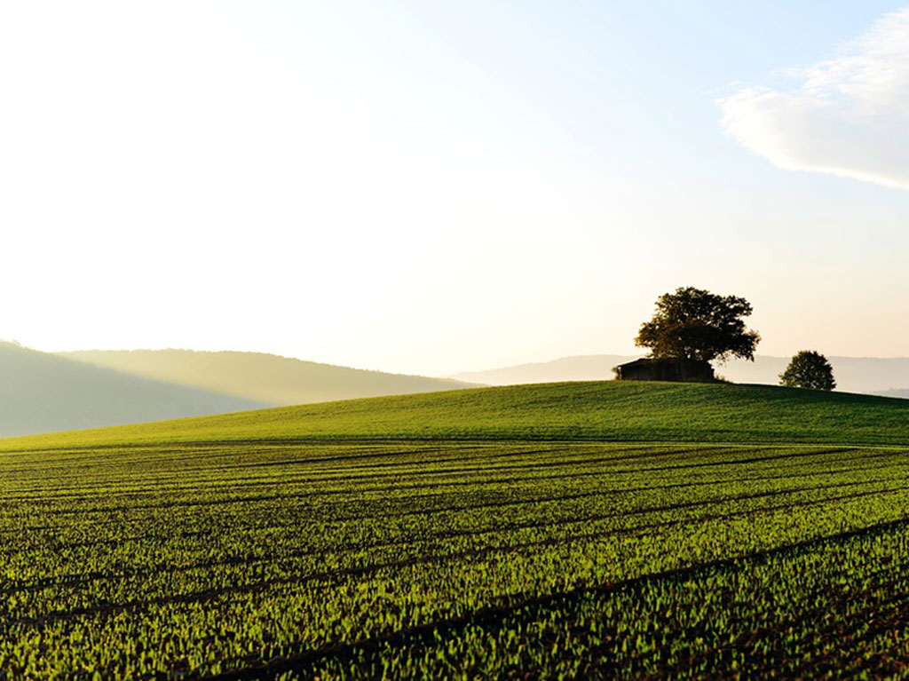 Key Changes In Land Business That Investors Ought To Know