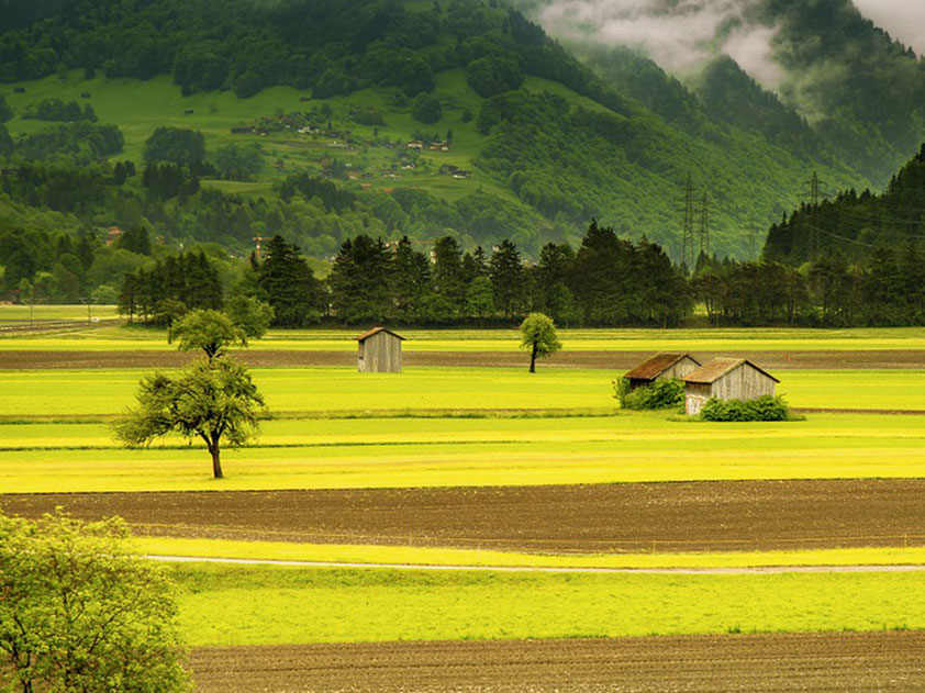 Navigating Land Buying